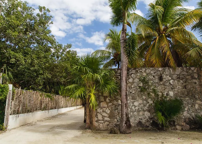 Angelina 28 Beachfront And Family Apartments - Modern And Relaxing Long Stays - 20 Min From Cancun Airport