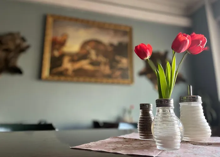 Hotel Cerny Orel Zatec