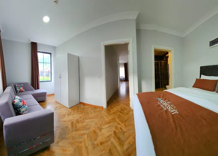 Anemo Suite