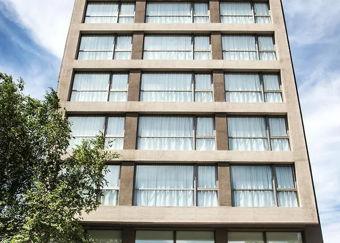 Brizo Neuquen