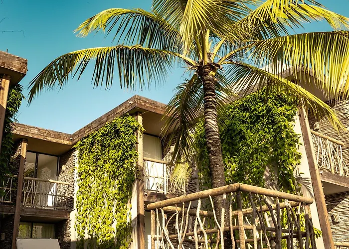 Apenunga Eco Hotel