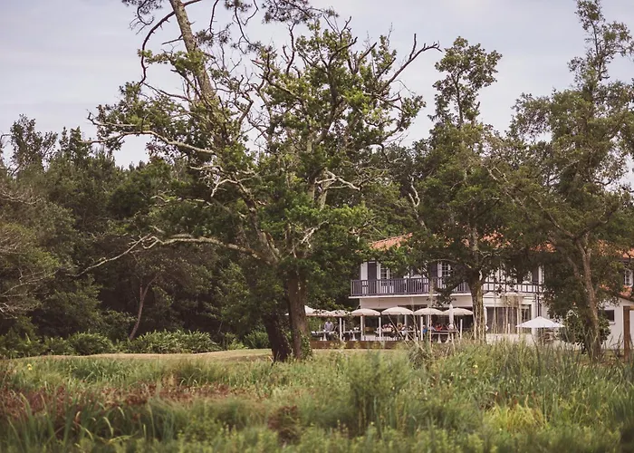 Villa De L'Etang Blanc