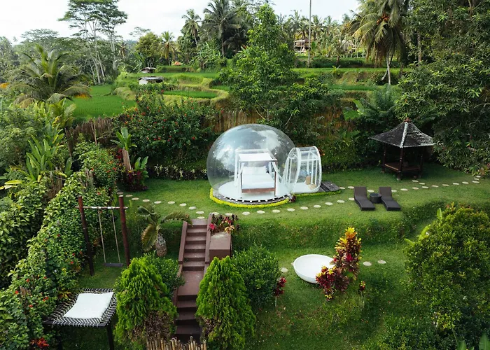 Bubble Hotel Bali Ubud - Adults Only