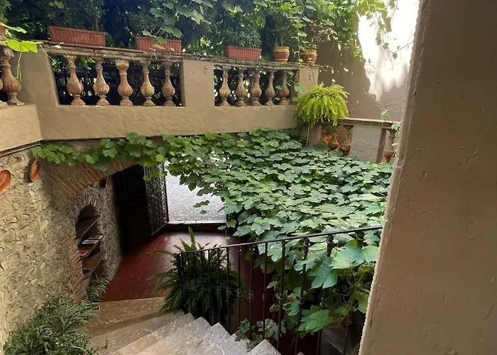 Hotel Vidal
