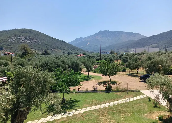 Anatoli Studios