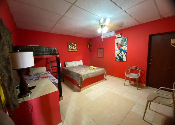Windmill Hostal