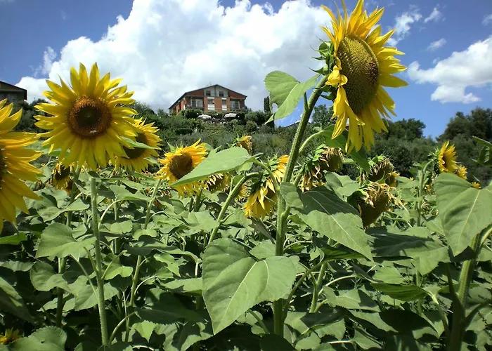 Hotel Sangallo B&B-Vintage Choise-Panoramic Position-Valley And Vineyard View-Family Run