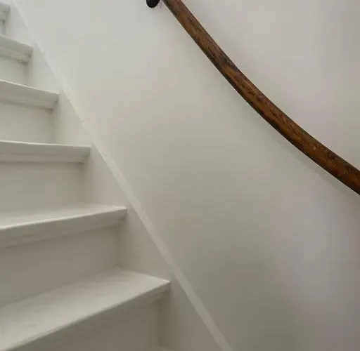 Wijk Aan Zee De Wilde Roos