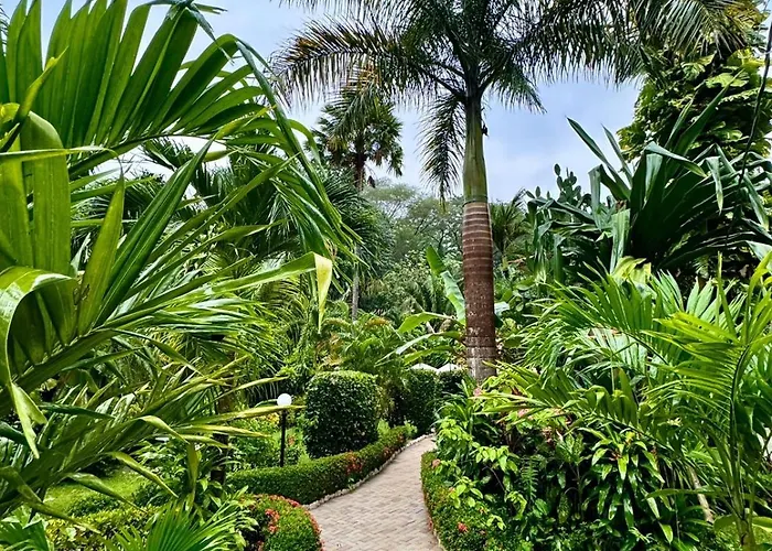 Hotel Belvedere Playa Samara Costa Rica