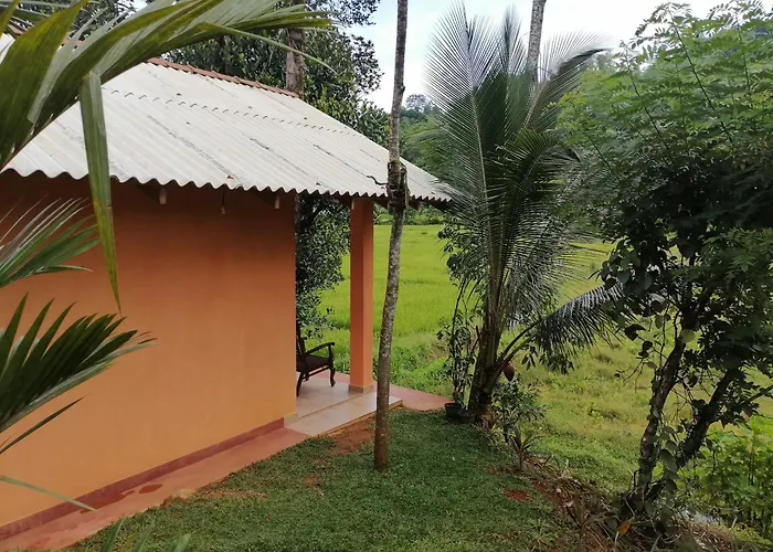Serene Sinharaja