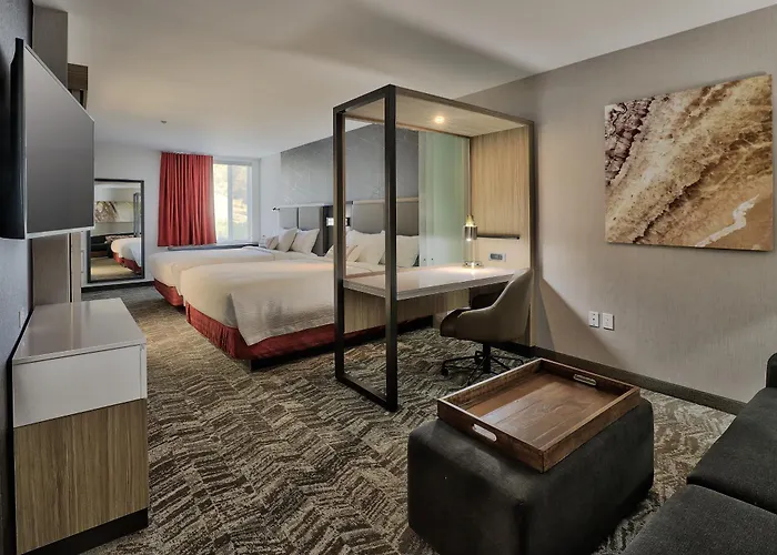 Springhill Suites Durango