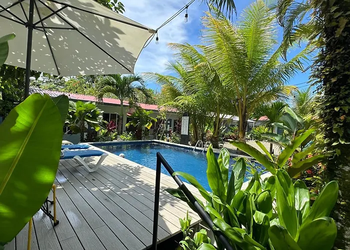 Rooms & Pool Macaws