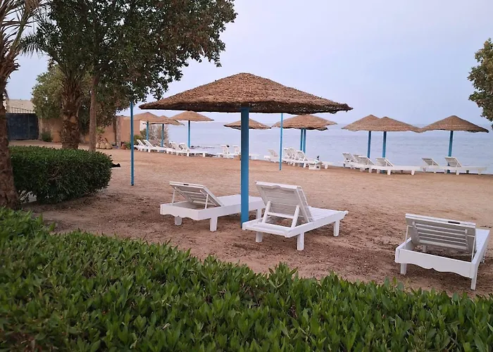 Dolphin Hotel Safaga