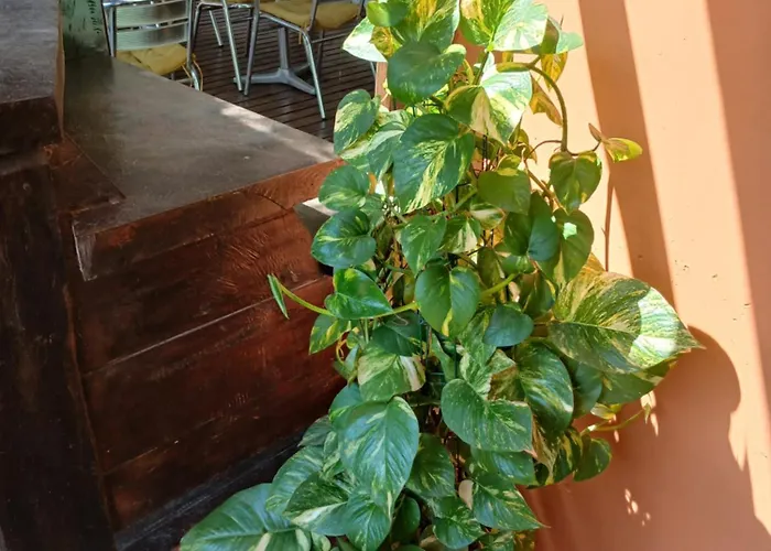 Pousada Cacau E Dende
