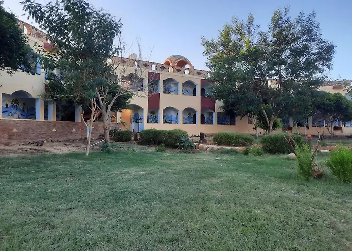 Oasis Panorama