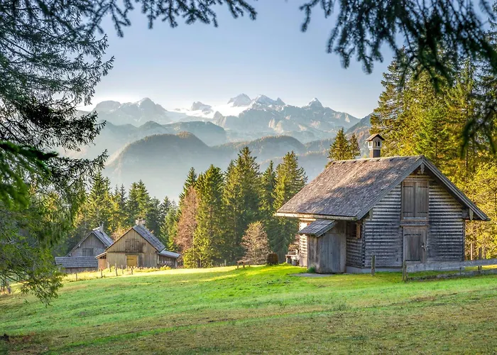Metzgerwirt Vieh Heli