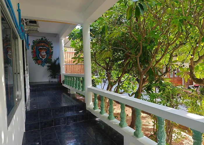 The Funky Monkey Hostel - 18 To 40 Years Old Only