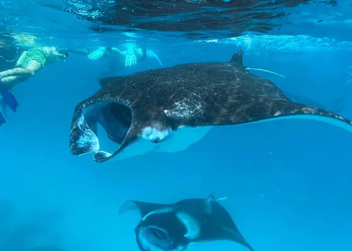 Chak'Z 1964 Beach