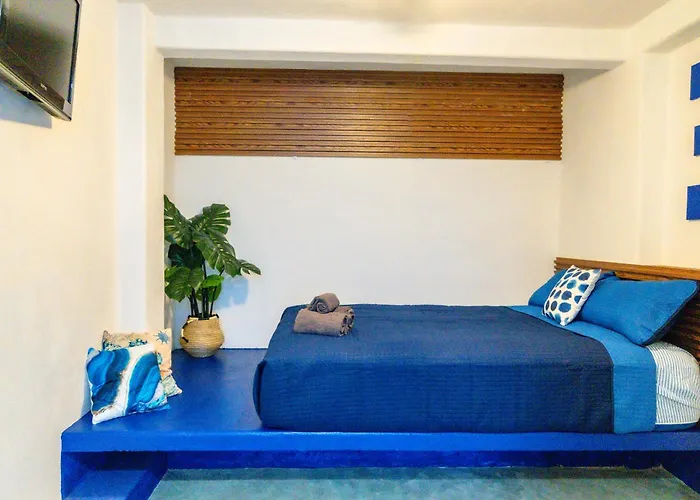 Casa Arrecife Tortuga, Fast Internet, Private Cozy Room