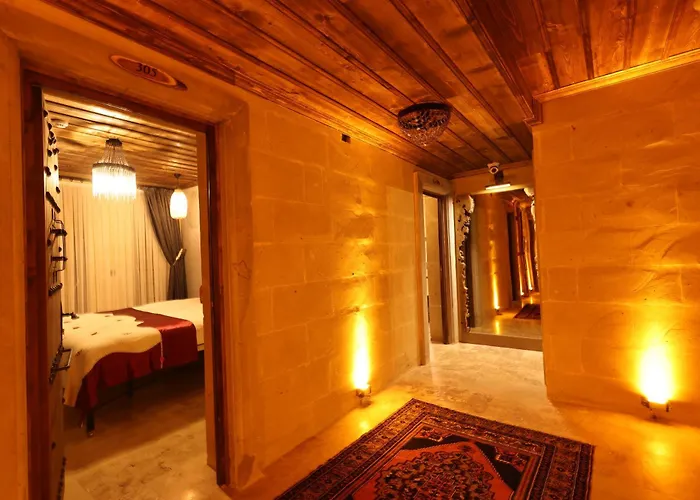 Alika Castle House