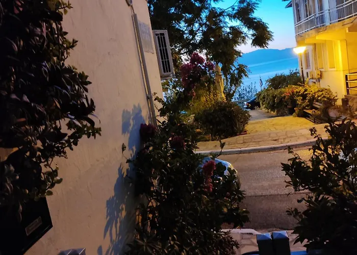 Margarita'S House 2
