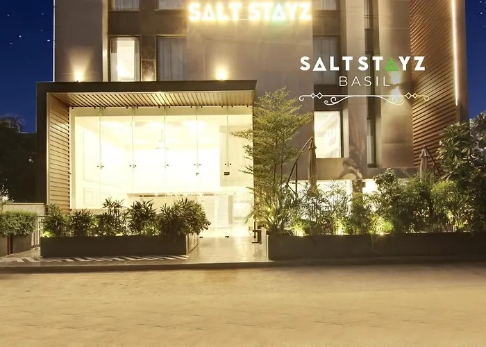 Saltstayz Basil - Near Golf Course Road & Extension Road