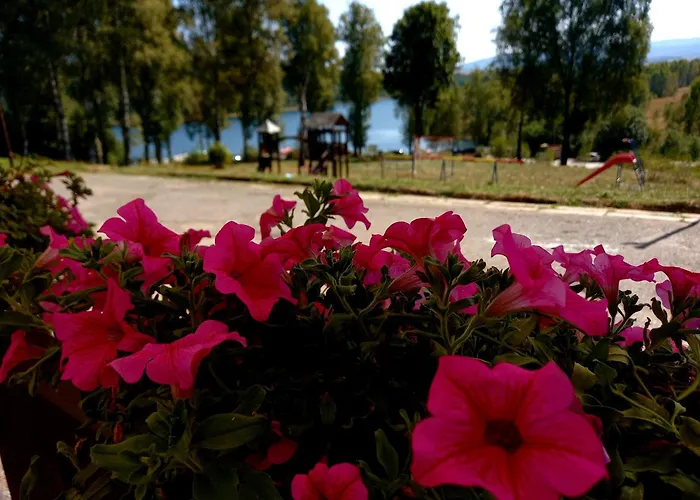 Hotel Vlasina - Vlasinsko Jezero