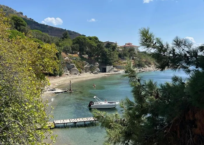 Denizevi Karvunyi
