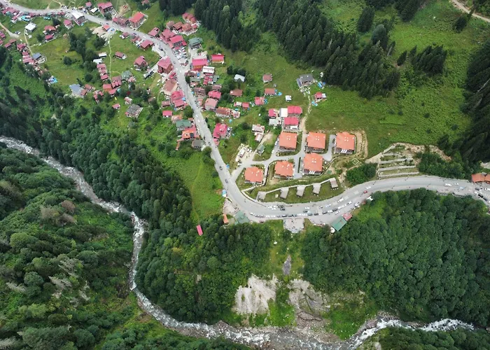 Ayder Altiparmak Suit