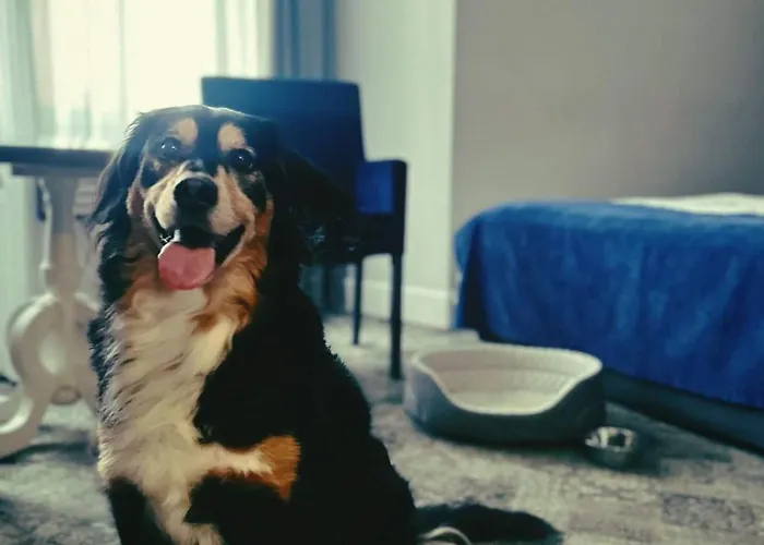 City Boutique Hotel
