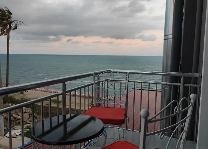 The Elysian Resort Hotel & Restaurant - Bar