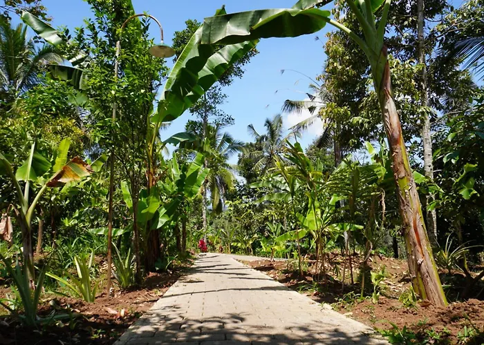 Purwa Ijen