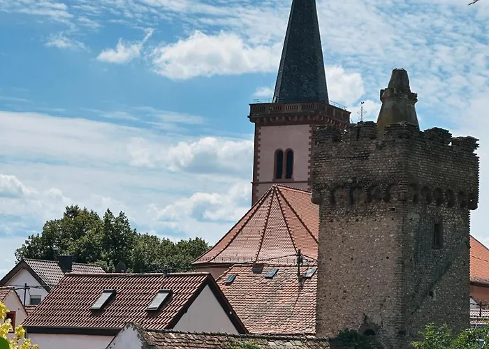 Hotel Traube Rheinhessen