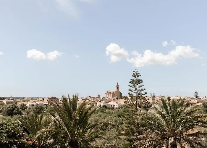 Cal Reiet Holistic Retreat