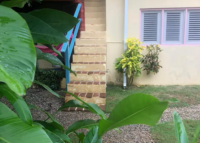Hotel Casa Robinson