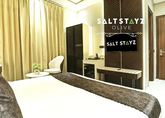 Saltstayz Premier - Pitampura