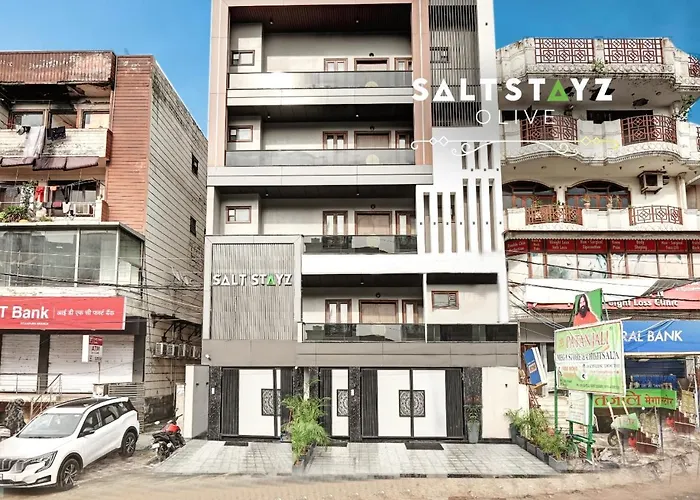 Saltstayz Premier - Pitampura
