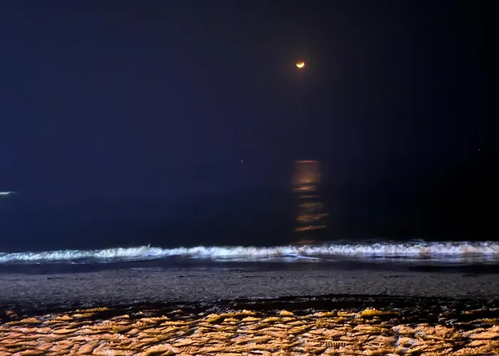 Prima Guest House - Arambol Beach