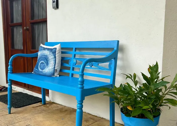 La Casa De Pucha Surf History & Tropical Stay