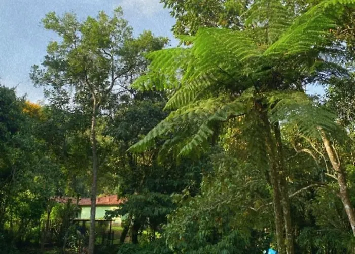 Magia Da Montanha Vista Para O Rio