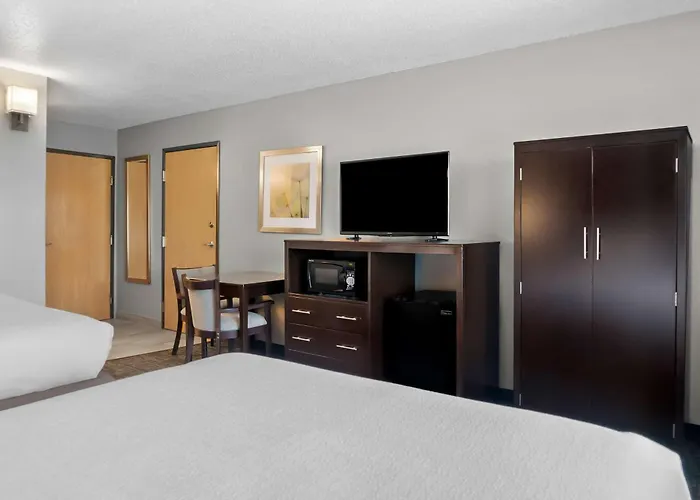 Best Western Plus Flint Airport Inn & Suites