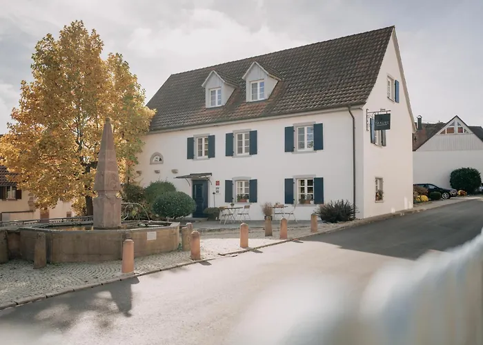 Traube Blansingen