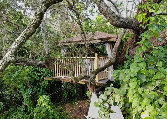 Miami Cottage - Private Pool And Treehouse
