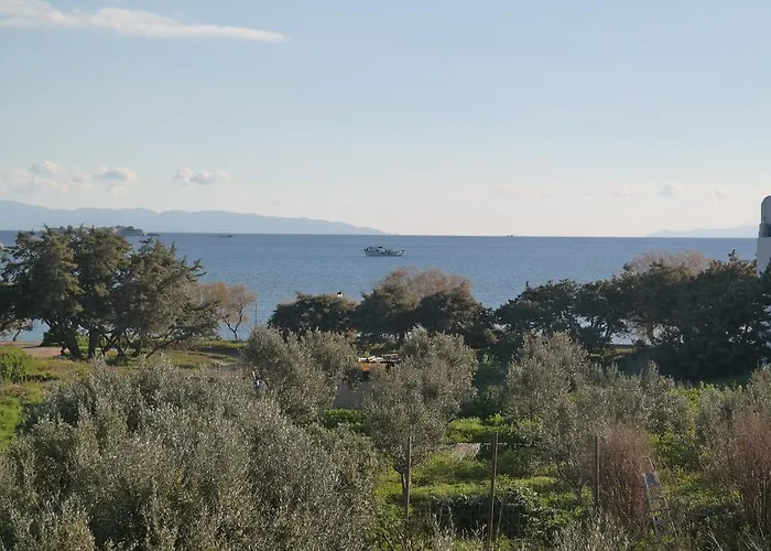 Mina'S Studios In Naxos Island