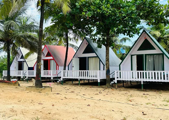 Eco Wooden Homes