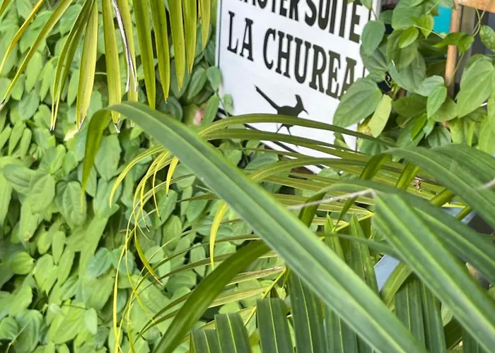 Casa Conicarit