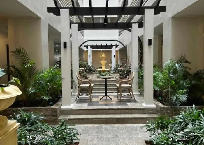 Cc Loft