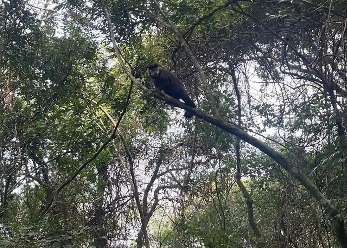 Refugio Bela Ilha Luxo Casal Acesso Por Barco