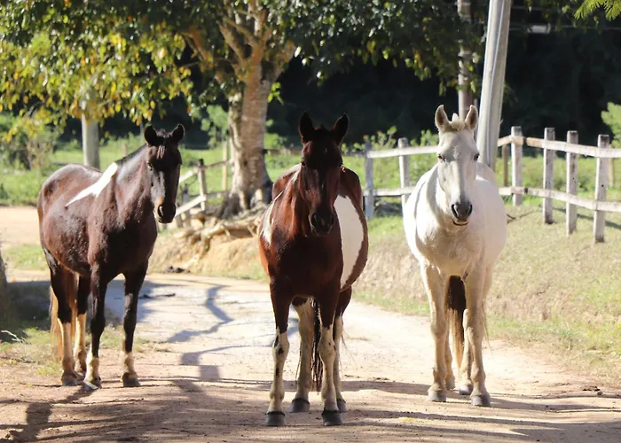 Hotel Fazenda Fascinacao