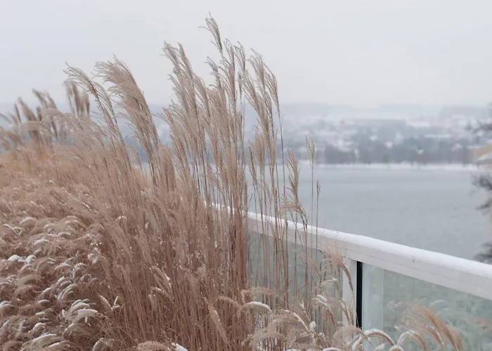 RIVA - Das Hotel am Bodensee